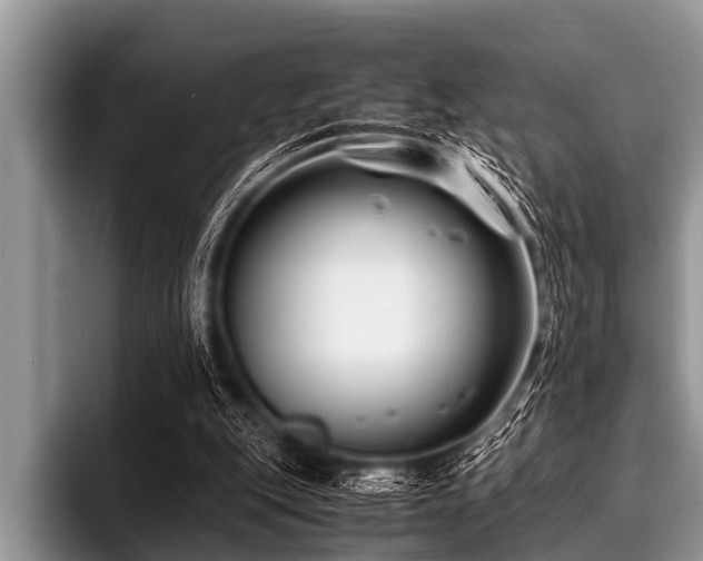 X0000096980151200802081414