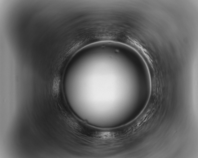 X0000096980153200802081414