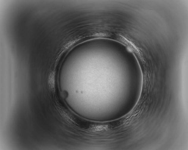 X0000096980155200802081414