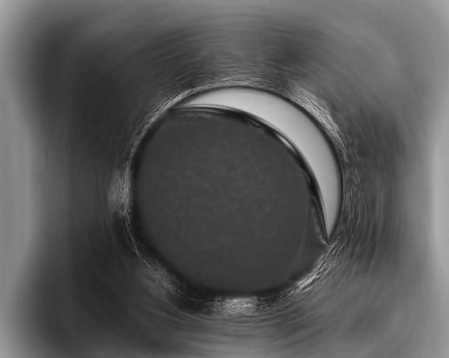 X0000096980156200802081414