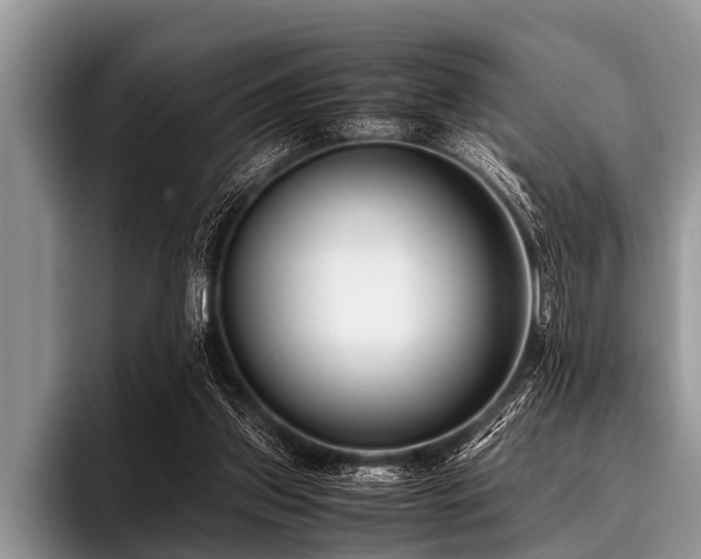 X0000096980157200802081414