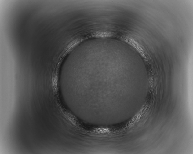 X0000096980159200802081414