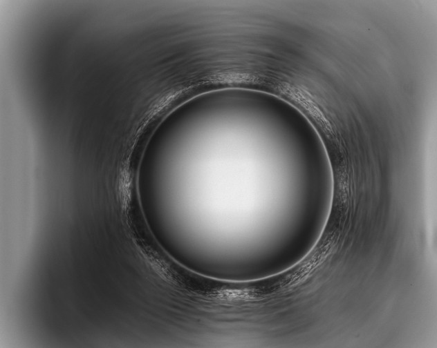 X0000096980160200802081414