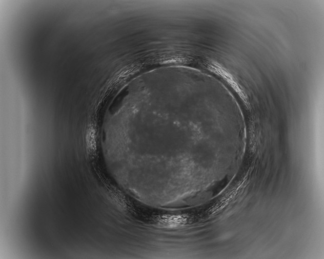 X0000096980161200802081414