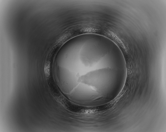 X0000096980163200802081414