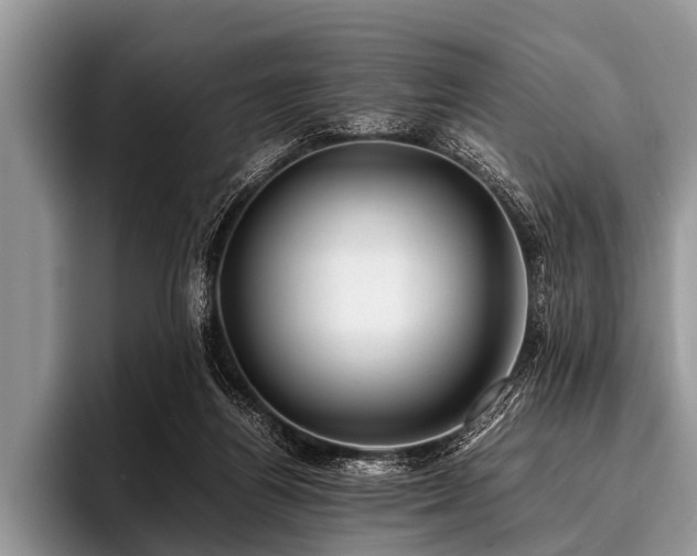 X0000096980164200802081414