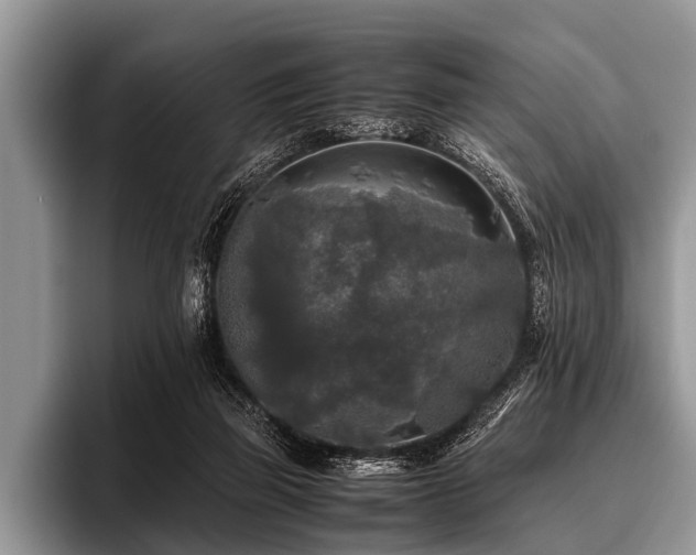 X0000096980165200802081414