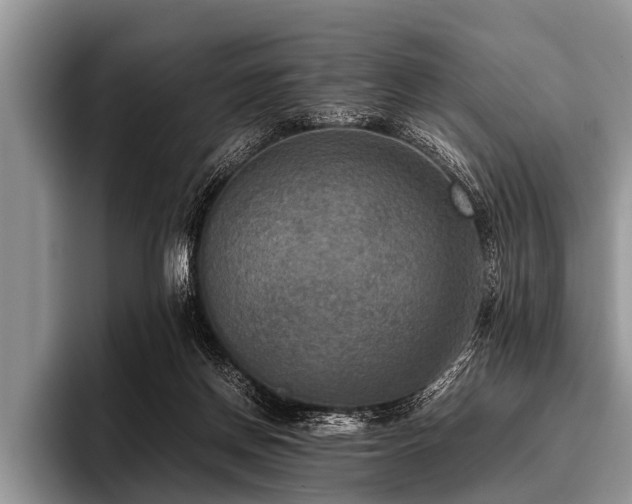 X0000096980166200802081414