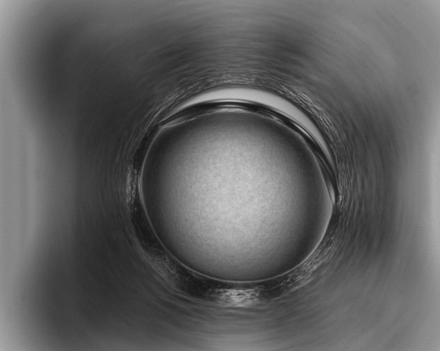 X0000096980168200802081414