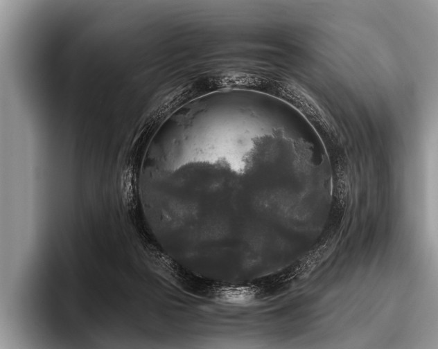 X0000096980169200802081414