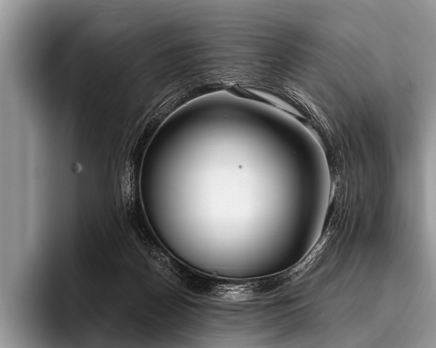 X0000096980170200802081414