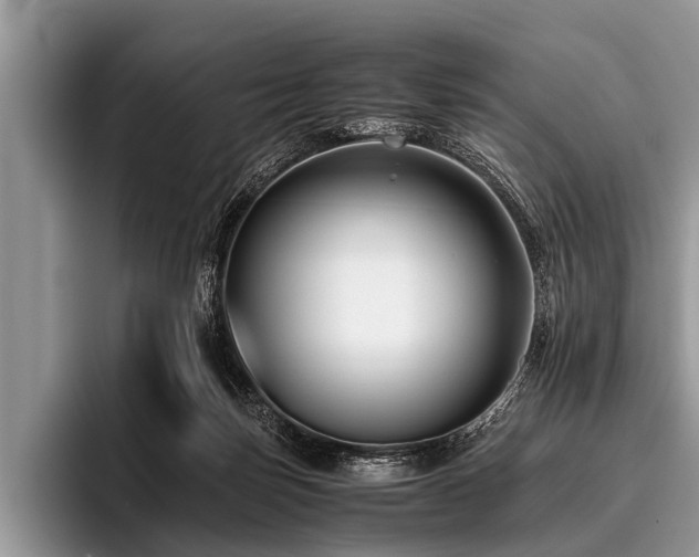 X0000096980171200802081414