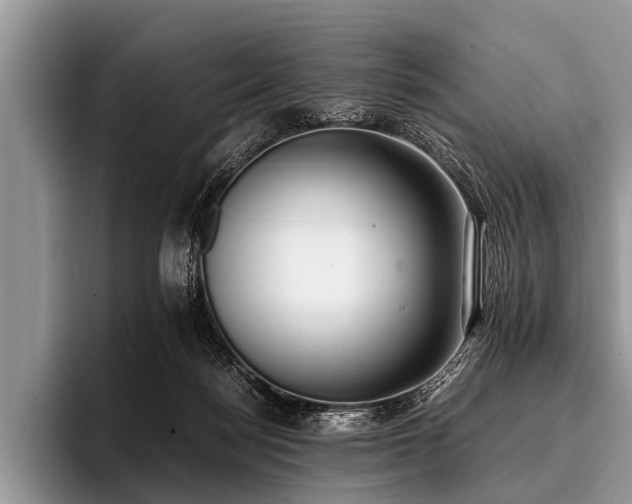 X0000096980172200802081414