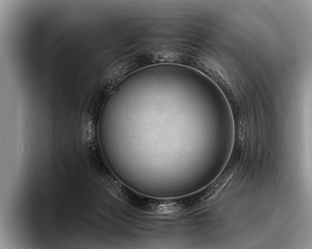 X0000096980173200802081414