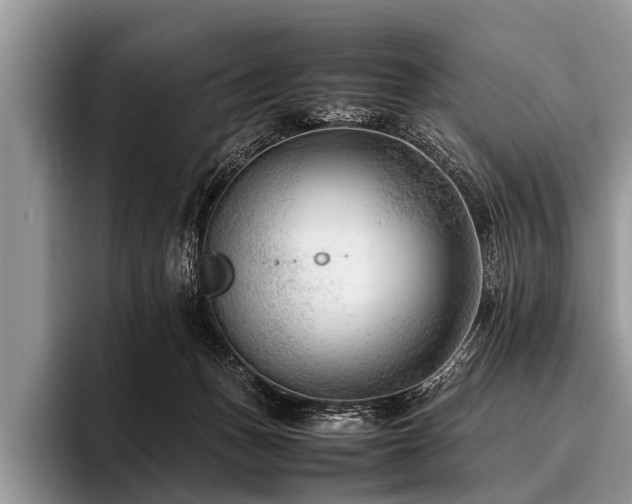 X0000096980175200802081415