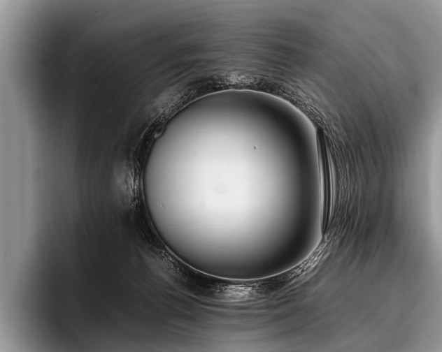 X0000096980176200802081415