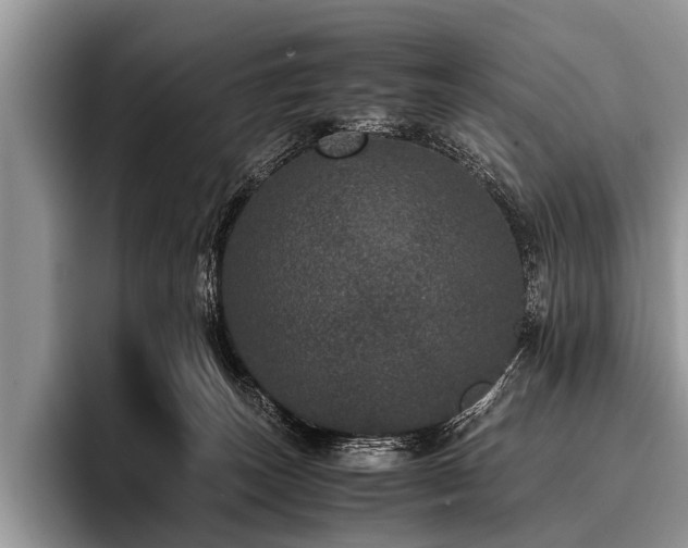 X0000096980179200802081415