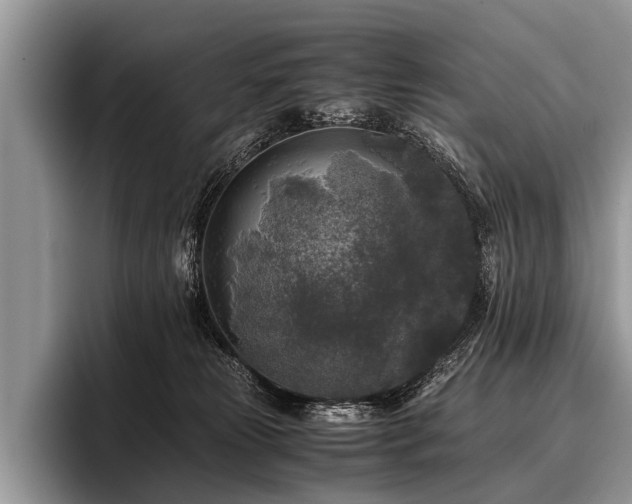 X0000096980181200802081415