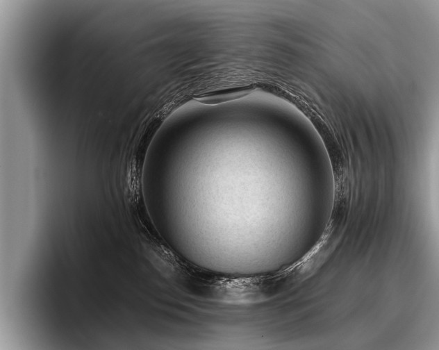 X0000096980186200802081415