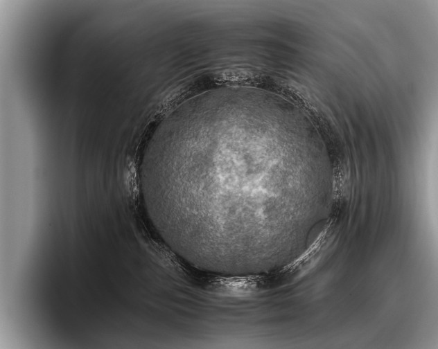 X0000096980187200802081415