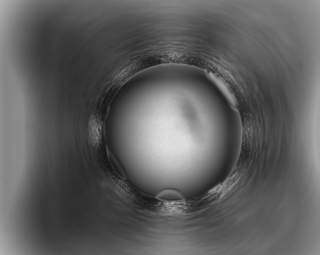 X0000096980188200802081415