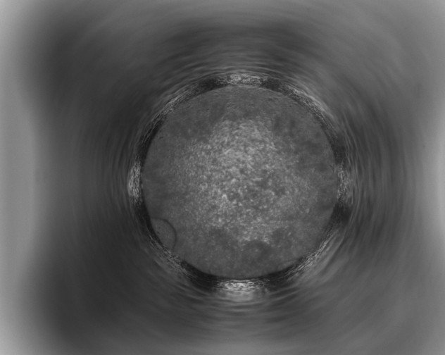 X0000096980189200802081415