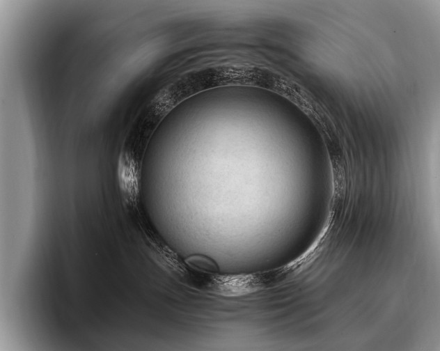 X0000096980191200802081415