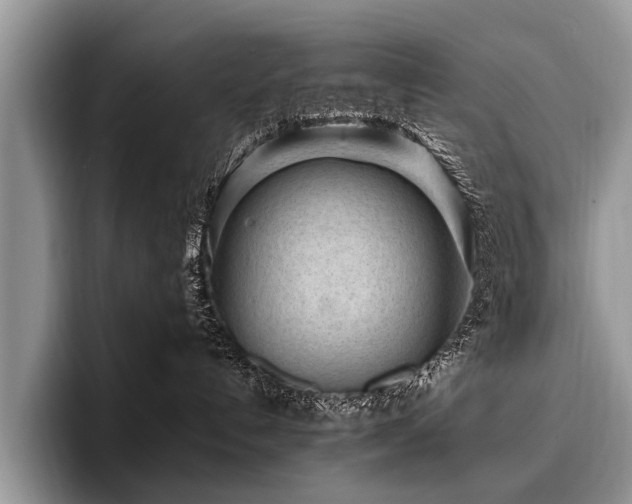 X0000096980192200802081415