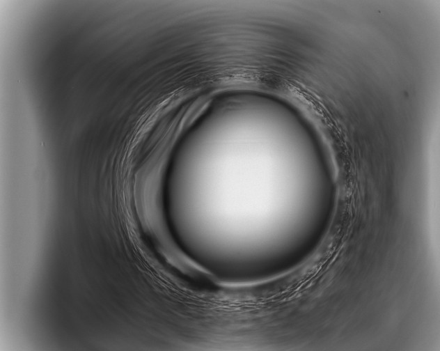 X0000096980193200802081414