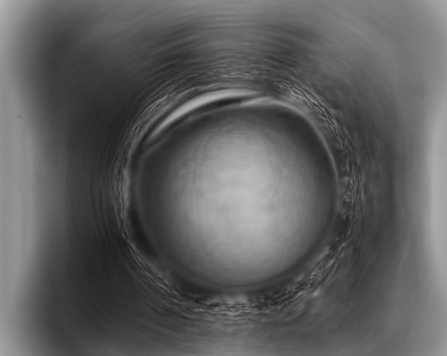 X0000096980194200802081414