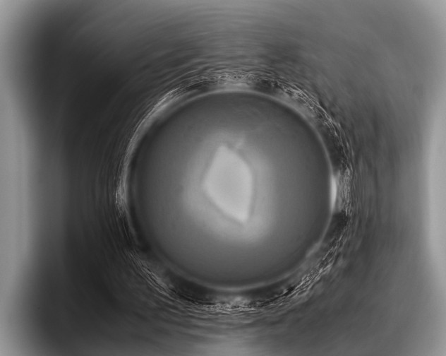 X0000096980195200802081414