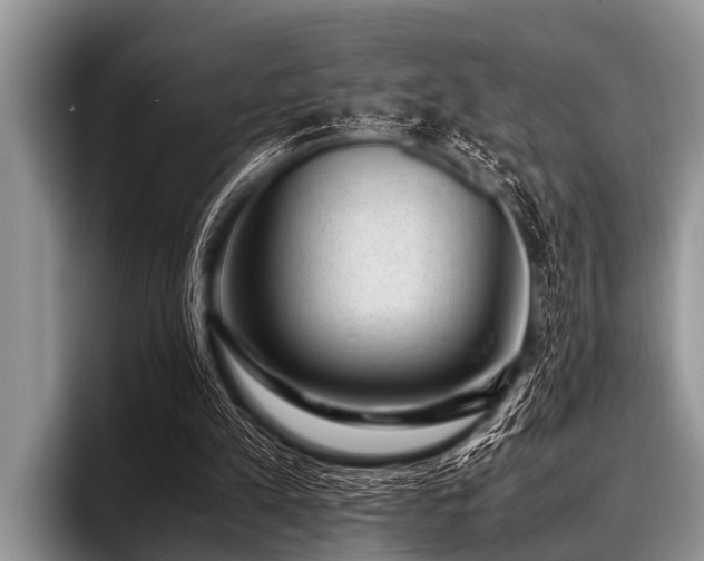 X0000096980197200802081414