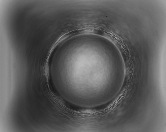 X0000096980198200802081414