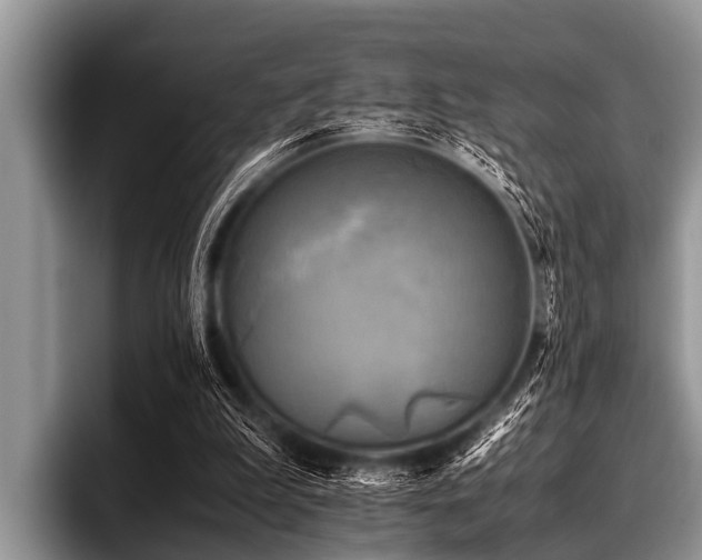 X0000096980199200802081414