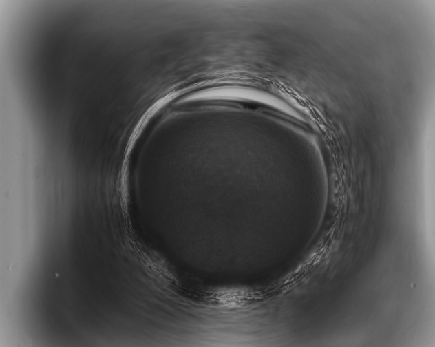 X0000096980200200802081414