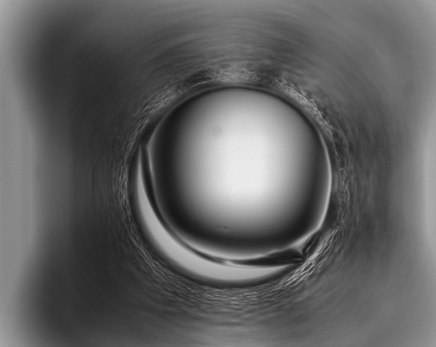 X0000096980201200802081414