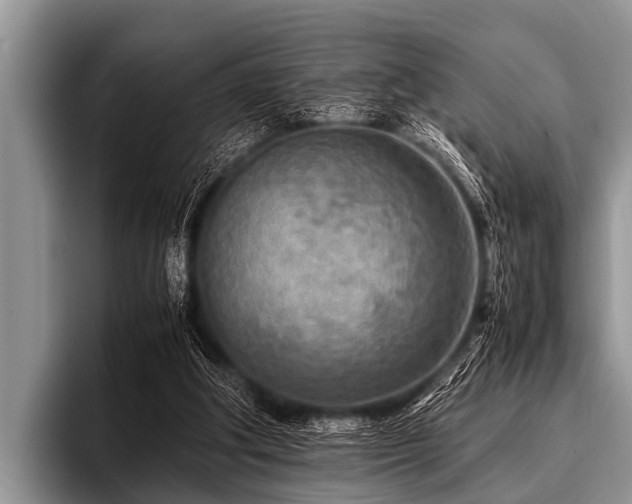 X0000096980202200802081414