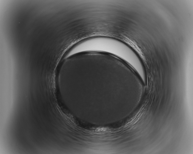 X0000096980204200802081414