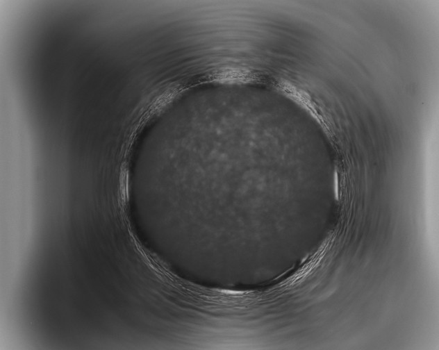 X0000096980205200802081414