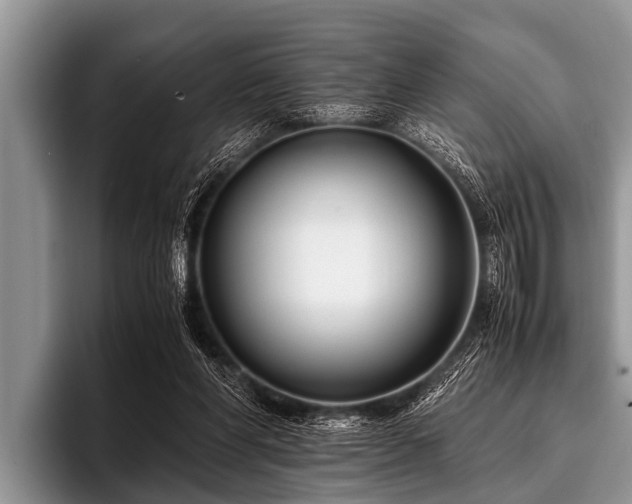 X0000096980206200802081414