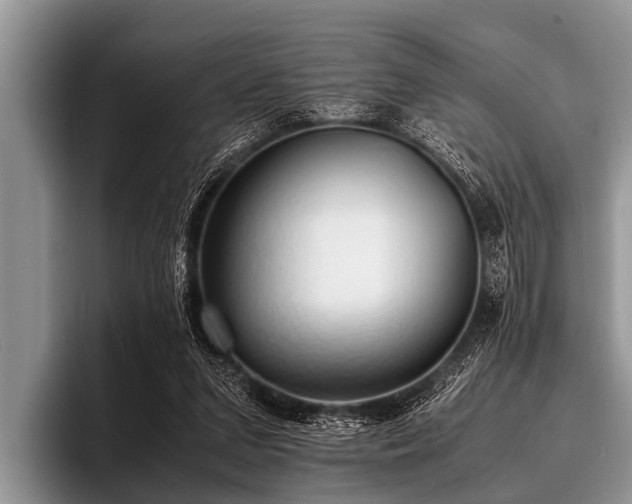 X0000096980207200802081414