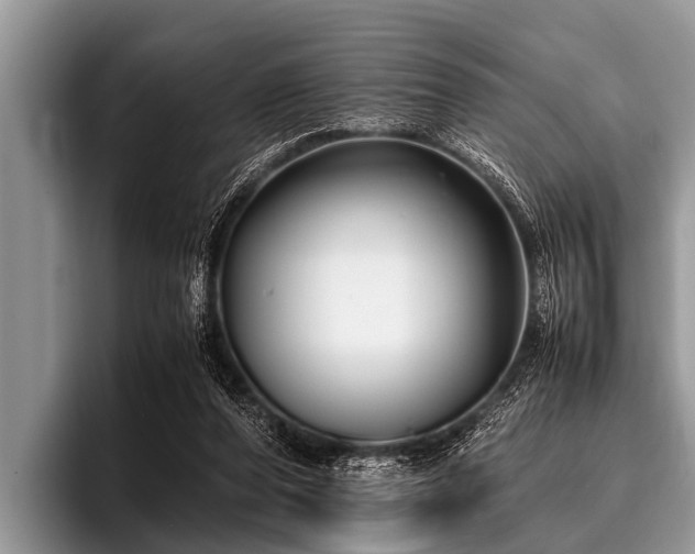 X0000096980208200802081414