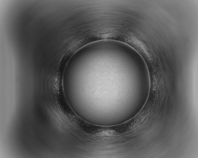 X0000096980210200802081414