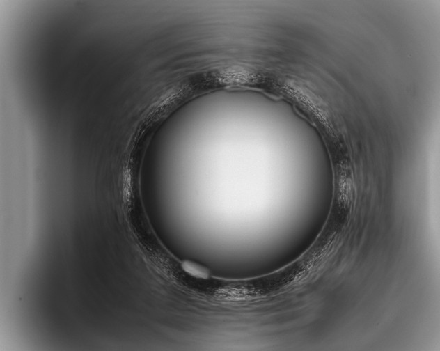 X0000096980211200802081414