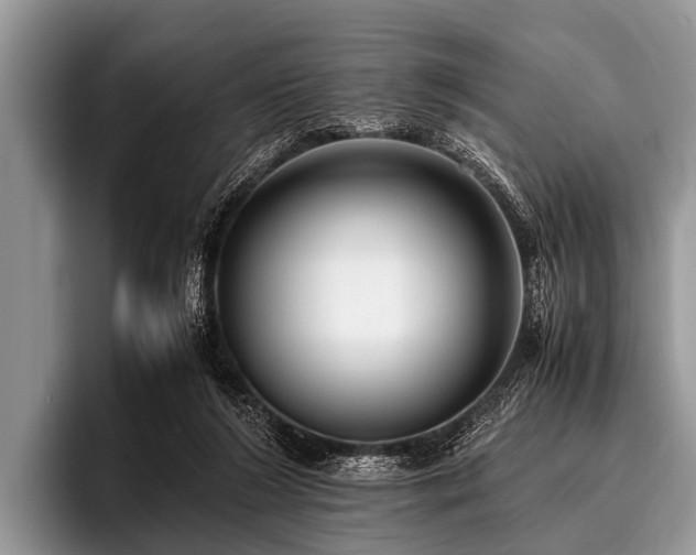 X0000096980212200802081414