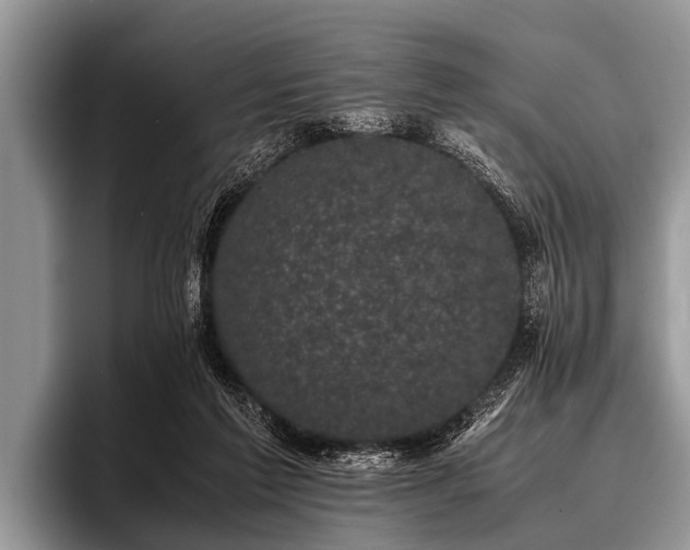 X0000096980213200802081414