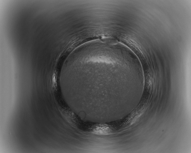 X0000096980214200802081414