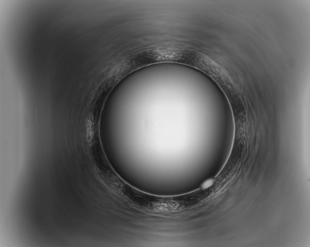 X0000096980215200802081414