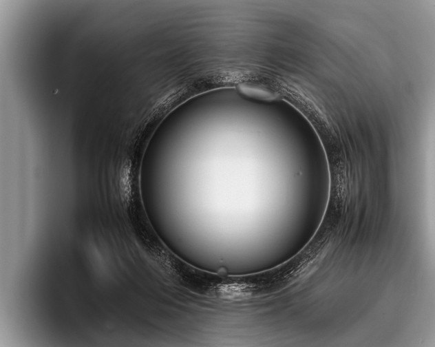 X0000096980216200802081414