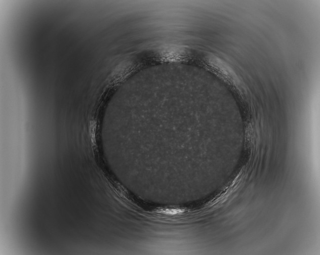 X0000096980217200802081414